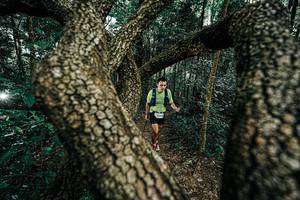 BIB: 
                            <button type="button" onclick="openModal(25392593)" class="btn btn-primary btn-sm float-right btn-popup" data-toggle="modal" data-target=".modal-high-quality">
                        <i class="fas fa-shopping-cart"></i> Add to Cart
                    </button>
                                            <button type="button" onclick="isThisMe(25392593, true)" class="btn btn-success btn-sm float-right btn-popup btn-isme hidden" data-toggle="tooltip" data-placement="bottom" title="นี่คือรูปของคุณใช่ไหม คลิกที่นี่เพื่อเอาเข้าอัลบั้ม">
                        <i class="fas fa-plus"></i> Add to album
                    </button>
                    <button type="button" onclick="isThisMe(25392593, false)" class="btn btn-warning btn-sm float-right btn-popup btn-isnotme hidden">
                        <i class="fas fa-ban"></i> Remove from album
                    </button>